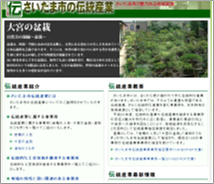 伝統産業紹介ホームページ(さいたま市)